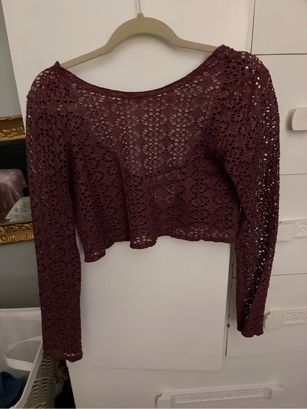 Free People Burgundy Crochet Long-Sleeve Crop Top